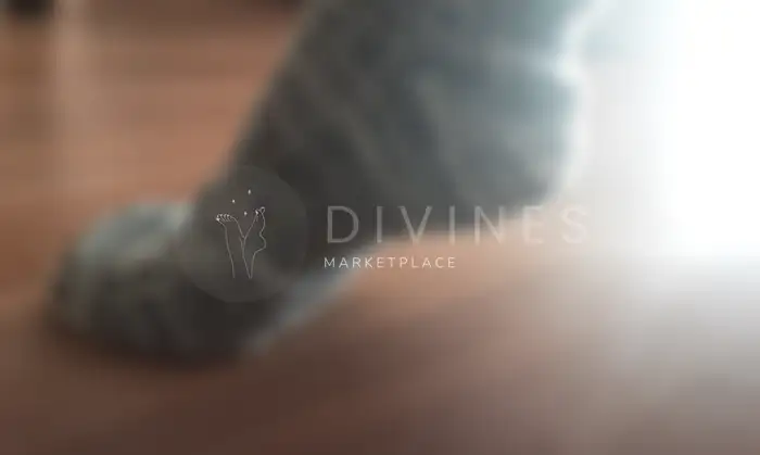 Chaussettes