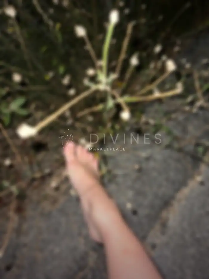 Le pied dans les plantes
